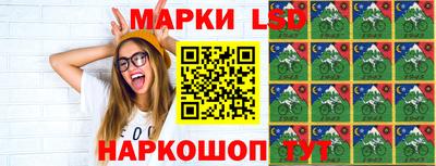 МДПВ Камышлов