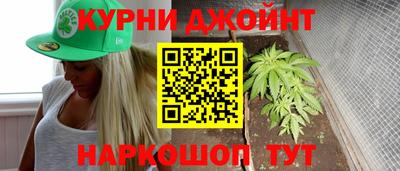 прущие грибы Канаш