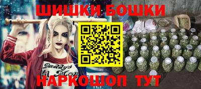 МДПВ Камышлов