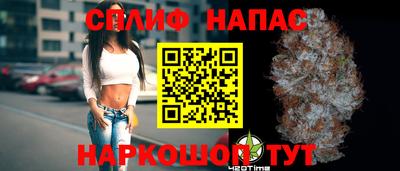 МДПВ Камышлов