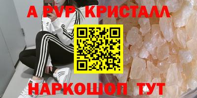 прущие грибы Канаш