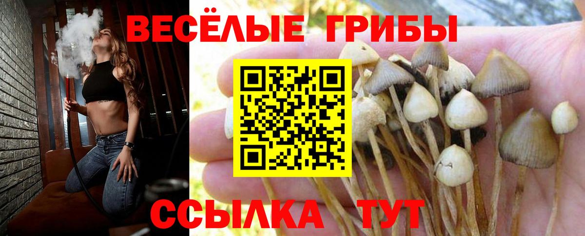 Псилоцибиновые грибы GOLDEN TEACHER Людиново